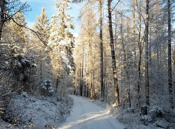 Fraenkische Linie - Radspitz-ferienwohnungen 公寓